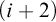 left parenthesis i plus 2 right parenthesis