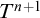 upper T Superscript n plus 1