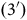 left parenthesis 3 Superscript prime Baseline right parenthesis