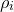 rho Subscript i