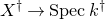 upper X Superscript dagger Baseline right arrow upper S p e c k Superscript dagger