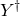 upper Y Superscript dagger