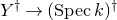 upper Y Superscript dagger Baseline right arrow left parenthesis upper S p e c k right parenthesis Superscript dagger