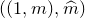 left parenthesis left parenthesis 1 comma m right parenthesis comma ModifyingAbove m With caret right parenthesis