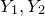 upper Y 1 comma upper Y 2