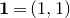bold 1 equals left parenthesis 1 comma 1 right parenthesis