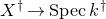 upper X Superscript dagger Baseline right arrow upper S p e c k Superscript dagger