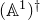 left parenthesis double struck upper A Superscript 1 Baseline right parenthesis Superscript dagger