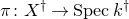 pi colon upper X Superscript dagger Baseline right arrow upper S p e c k Superscript dagger