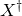 upper X Superscript dagger