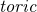 italic toric