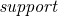 italic support