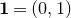 bold 1 equals left parenthesis 0 comma 1 right parenthesis