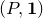 left parenthesis upper P comma bold 1 right parenthesis