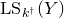 upper L upper S Subscript k Sub Superscript dagger Baseline left parenthesis upper Y right parenthesis