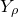 upper Y Subscript rho