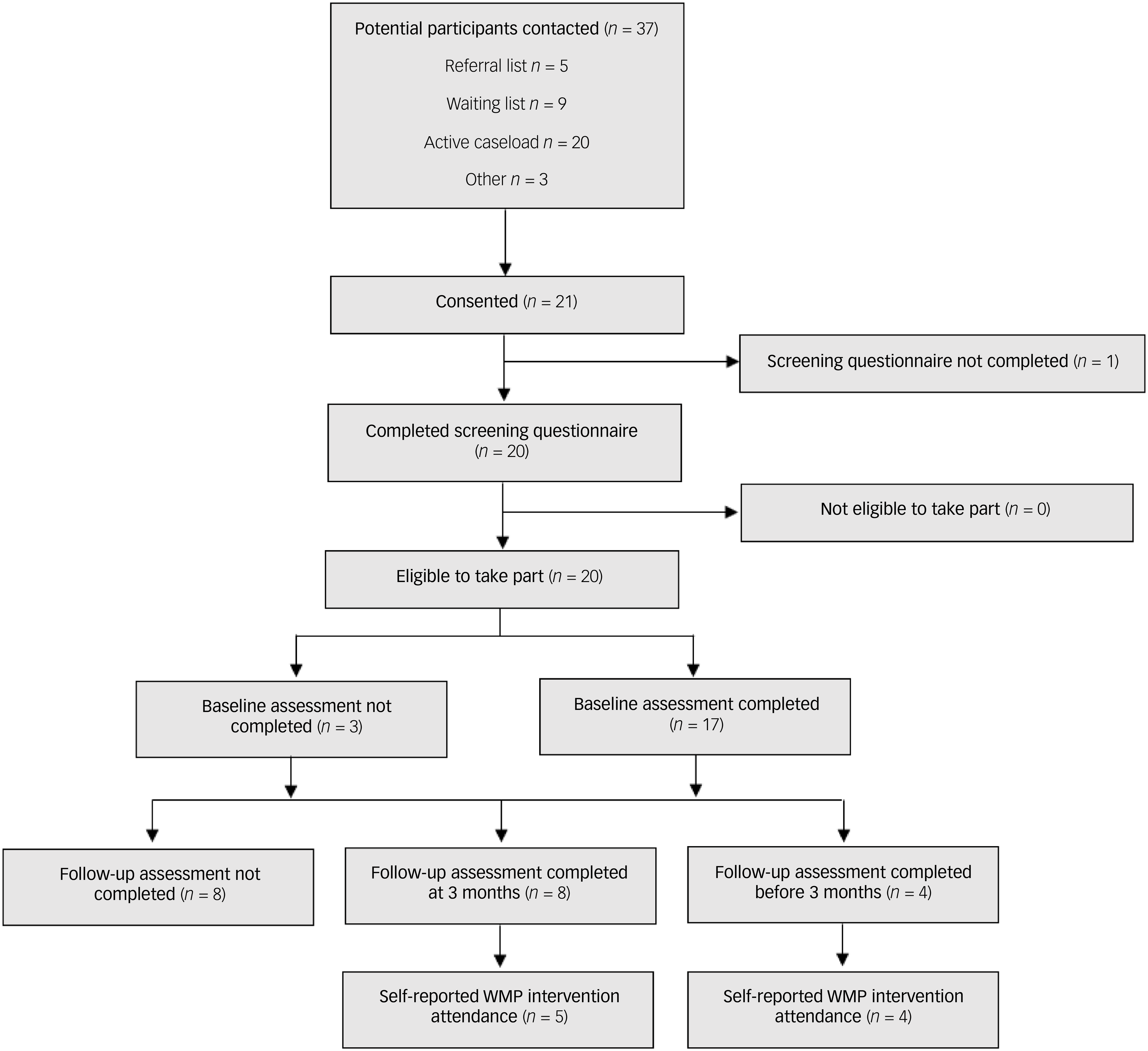 Flow diagram for the Watch Me Play! (WMP) study showing participant recruitment and assessment stages.