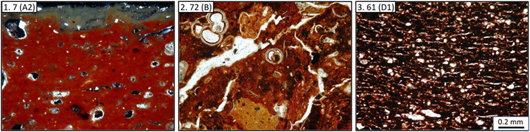 Figure 16