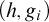 left parenthesis h comma g Subscript i Baseline right parenthesis