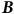 bold italic upper B