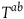 upper T Superscript a b