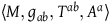 left angle bracket upper M comma g Subscript a b Baseline comma upper T Superscript a b Baseline comma upper A Superscript a Baseline right angle bracket