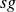 italic sg