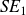 italic SE Subscript 1