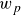 w Subscript p