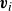 bold italic v Subscript i