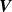 bold italic upper V