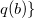 q left parenthesis b right parenthesis right brace
