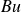 italic Bu