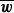 bold italic w overbar
