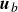 bold italic u Subscript b