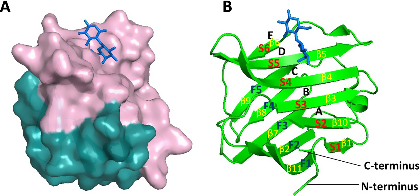 Figure 0