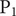 normal upper P 1