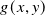 g left parenthesis x comma y right parenthesis