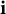 bold i