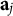 bold a Subscript j