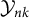 script upper Y Subscript n k
