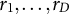 r 1 comma ellipsis comma r Subscript upper D Baseline
