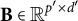 bold upper B element of double struck upper R Superscript p prime times d prime