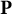bold upper P