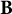bold upper B