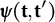 bold italic psi left parenthesis bold t comma bold t Superscript prime Baseline right parenthesis
