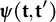 bold italic psi left parenthesis bold t comma bold t Superscript prime Baseline right parenthesis