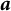 bold italic a