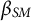 beta Subscript upper S upper M