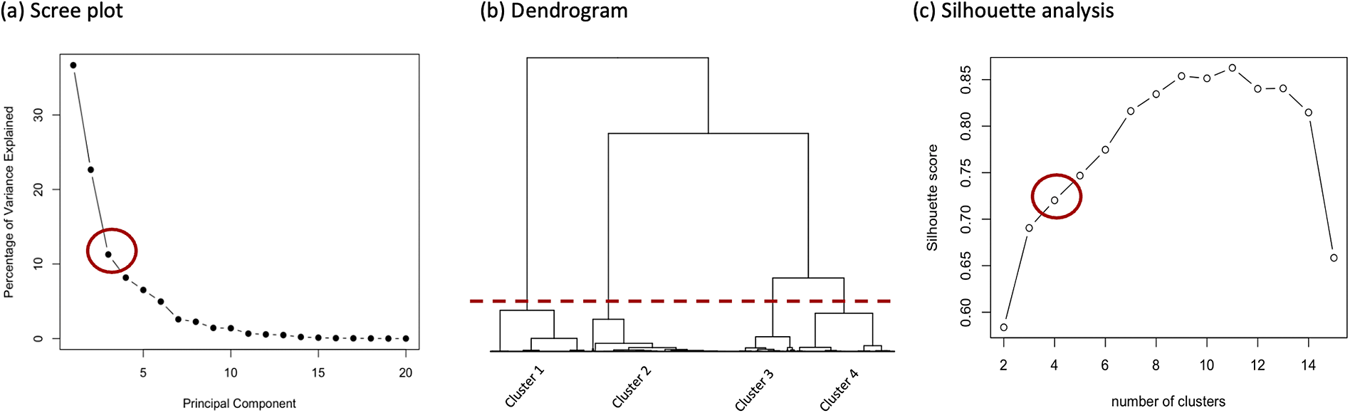 Figure 20
